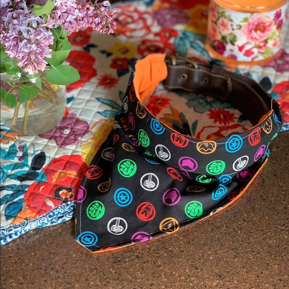 Slip on dog bandana